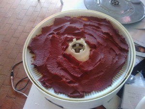 Drying tomato paste