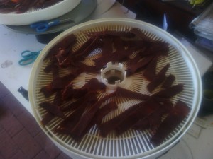 Drying tomato paste strips