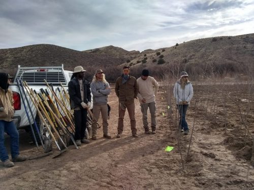 Americorp group