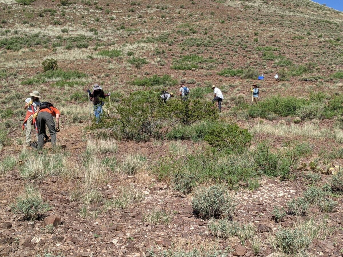 Socorro to Box Trail 2021 – Sagebrush Trails