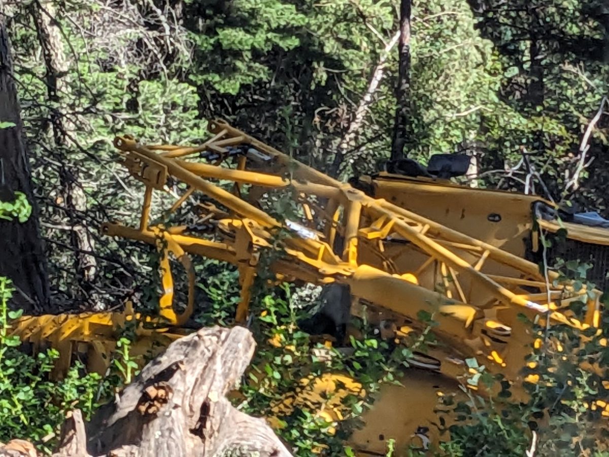 Timber Ridge Trail 2024 – Sagebrush Trails